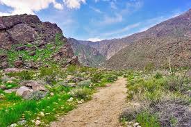 What time of the year would be best to do cactus clouds? 17 Best Hikes In Palm Springs Ca Planetware