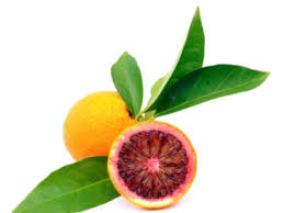 The blood orange tree provides delicious, sweet oranges with a deep red hue to the flesh. Blood Orange Facts Tips For Growing Blood Orange Trees