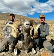 Here is an absolute Giant High...