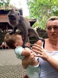 Going To Bali With Baby Top Must Know Tips From A Mum