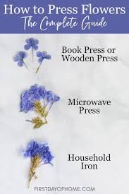 Pressing a carnation or any other flower is a great way to keep a flower that was given to you by a special person or on a special occasion. How To Press Flowers A Complete Guide For Beginners