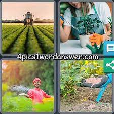 Maybe you would like to learn more about one of these? 4 Pics 1 Word Bonus Puzzle May 25 2021 4 Pics 1 Word Daily Puzzle Answers