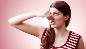 Check spelling or type a new query. Hidup Hidung Pesek 10 Jawaban Ini Bisa Bikin Kapok Mereka Yang Suka Ngejek