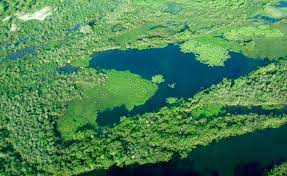 We did not find results for: Wasserabbau Auf Dem Land Der Guarani Multiwatch