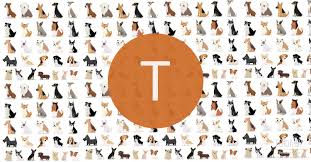 klichki sobak na t klichki sobak enciklopediya o zhivotnyh egida by