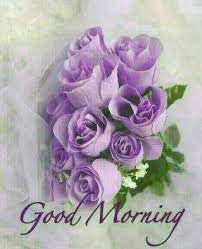 Don't forget to share these images on reddit, whatsapp, facebook & other social media platforms. Good Morning Beautiful Red Rose