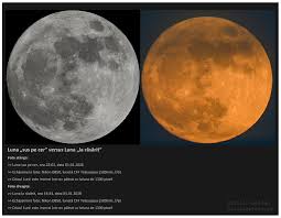Maybe you would like to learn more about one of these? Super Luna Vs Micro Luna