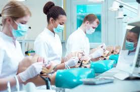 How to Get Into Dental School and Become a Dentist | Best Graduate ...