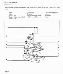 Microscope Worksheet Pdf Breadandhearth Biology Worksheet Microscope Parts Parts Of Speech Worksheets