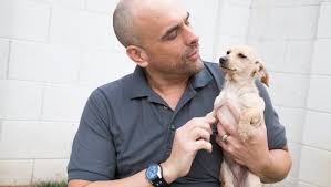 Dpa foster application—dogs | dpa foster application—cats. Fostering An Animal Is A Win Win For Parents And Pets