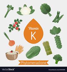 vitamin k or phylloquinone infographic vitamin k vector image