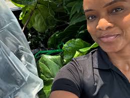 Wesleaf Designs and Decor...