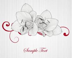 Flower line drawings simple line drawings flower sketches outline drawings art drawings art floral floral drawing botanical drawings botanical art. Free Vintage Line Drawing Lily Flower Titanui