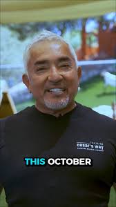 Join me October 8–12 for my Fundamentals 1 Workshop., Learn the foundation  of connection and calm leadership for you and your dog., I’ve helped people  around the world build better relationships with ...