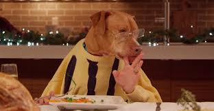 Chats et chiens intelligents droles. La Video La Plus Drole Wapiti