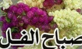 صور صباح الفل صور رسايل صباحية جديدة vegetables