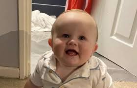 Teddy, one, has died after a three-car crash. A GoFundMe has been started  to help the toddler's family.