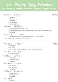 Puppy Daily Schedule Puppy Schedule Puppy Training