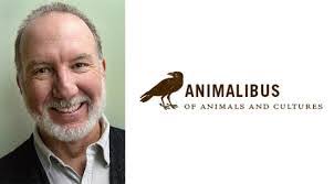 Marcus Baynes's Instagram, Twitter & Facebook