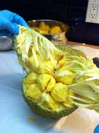 Image result for Artocarpus heterophyllus