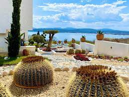 I don't need my wine tasting experiences to always be scenic ones but. Casa De Oro Aparthotel Sozopol Updated 2021 Prices