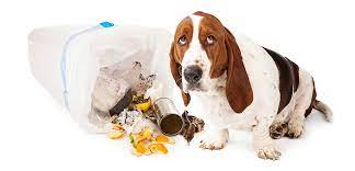 Alibaba.com offers 1,910 black mold dogs products. Animal Poison Control Alert The Dangers Of Moldy Food Aspca