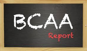 Aminosäuren kommen in allen lebewesen vor. Bcaa Report Powerstar Food