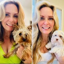 How to get two Yorkies to acclimate to each other?