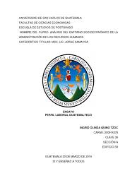 Ensayo Entorno Economico