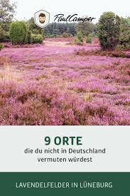 9 Aussergewohnliche Orte Die Du Nicht In Deutschland Vermuten Wurdest Lavendelfelder Deutschland Reiseziele