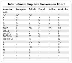 International Bra Cup Size Chart Bra Cup Sizes Bra Sizes