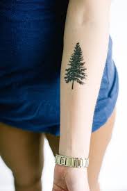 Whether you are planning to book your tattoo appointment soon or just getting ideas this list of 101 tattoos will help you choose. 81 Pine Tree Tattoos And Ideas