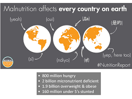 World Child Hunger Facts World Hunger Education World