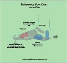 A foot reflexology chart plays an essential role to understand the foot reflex points. Reflexology Charts For Top Side Bottom Of Foot Learn Reflexology Foot Maps So Easy You Can Chart The Foot Foot Reflexology Reflexology Foot Map Reflexology