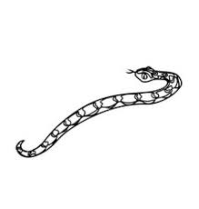 Download 2,373 rattlesnake stock illustrations, vectors & clipart for free or amazingly low rates! Snake Clipart Black And White Vector Images Over 150