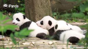 蝌蚪窝视频_蝌蚪窝APP_蝌蚪窝