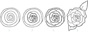 Comment dessiner une rose au crayon étape par étape. Comment Dessiner Une Rose Crayons Et Pinceaux