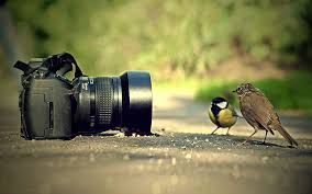 Image result for camera