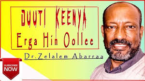 Instreamset:serie enfant &.asp?source= / instre. Dr Zelalem Abera Walalloo Dr Zelalem Abera Walalloo áˆ•á‹­á‹ˆá‰µ á‰4 áˆ°á‹­áŒ£áŠ• áˆ²áŒ‹áˆˆáŒ¥ Elsa