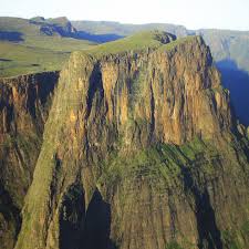 Image result for Styppeiochloa gynoglossa