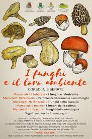 Molti ricordano le ottobrate del quartier del piave. Eventi Venetando I Funghi E Il Loro Ambiente Corso In 5 Serate