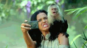 Share the best gifs now >>>. The 7 Most Animal Filled Gifs From Katy Perry S Roar Video