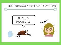 注意 ゴキブリの習性を知って対策しよう ゴキブリ 駆除 ゴキブリ 防虫