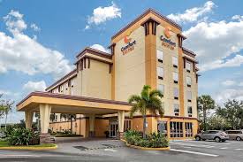 Orlando, fl 32822 (airport north area). Comfort Suites Orlando Airport 88 1 0 4 Updated 2021 Prices Hotel Reviews Fl Tripadvisor