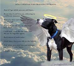 Where can i drop off an unwanted dog? Pin On Collection Of Things 3
