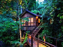 Both houses have access to a river. 8 Gorgeous Forest Getaways In Malaysia For A Quick Escape Buro 24 7 Malaysia