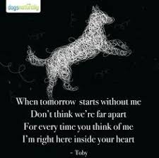 First, we invite you to a beautiful rendition of perhaps the most famous and beloved pet loss poem of all, rainbow bridge: 6 Poems About Dogs And Loss That Will Mend Your Heart Anguspost