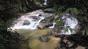 Air terjun sungai tekalasunting . Sungai Tekala Recreational Forest
