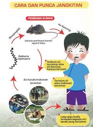 1) penyakit berjangkit boleh disebarkan secara langsung atau tidak langsung daripada seorang individu kepada individu lain. Siaran Media Tindakan Kementerian Kesihatan Menangani Banjir 10 Januari 2015 From The Desk Of The Director General Of Health Malaysia