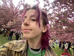 Any tips for 12 chirpy nest boxes?